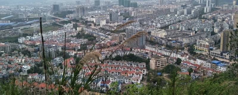 鹿寨县特色文化（鹿寨历史文化）