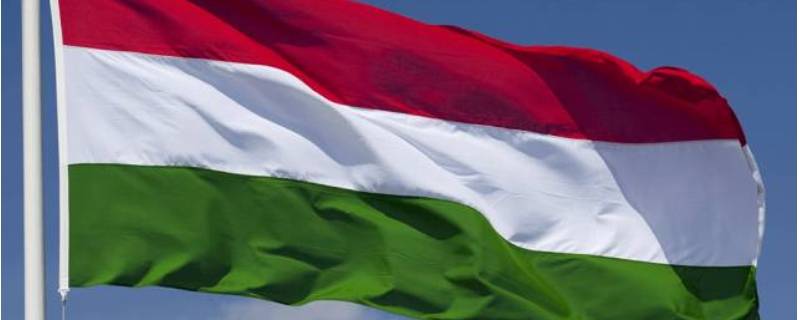 匈牙利国旗中的绿色代表什么（匈牙利国旗中的绿色代表什么意思）