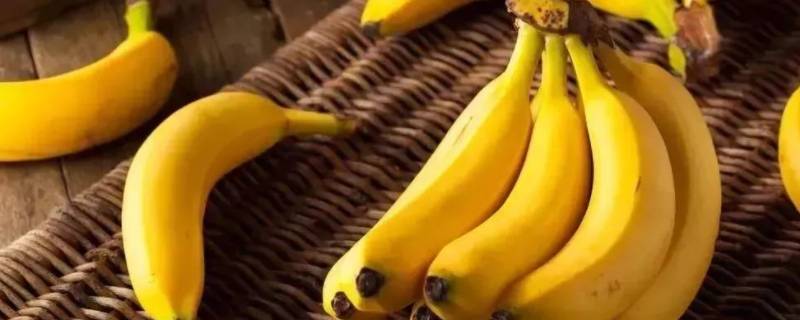 香蕉属于莓类（香蕉属于莓类,草莓不属于）