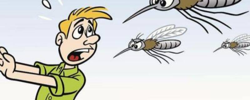 怎么驱蚊子 怎么驱蚊子最有效的方法