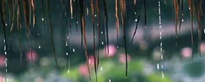 梅雨季节在哪些省 梅雨季节在哪些省郑州