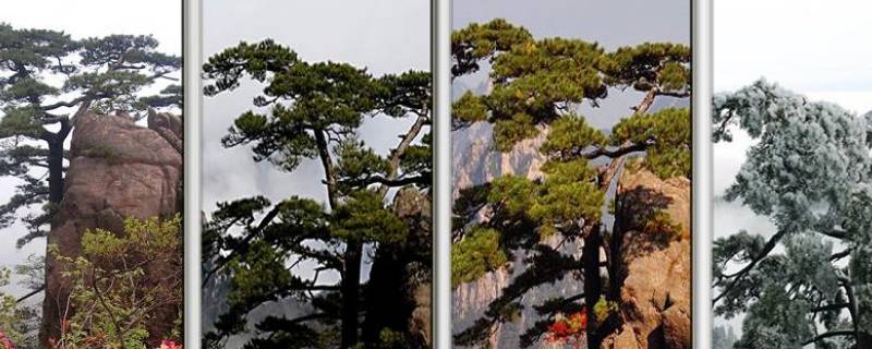 三季度是几月到几月份（四季度是几月到几月份）