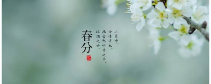 春分吉祥语（春分的吉祥语）