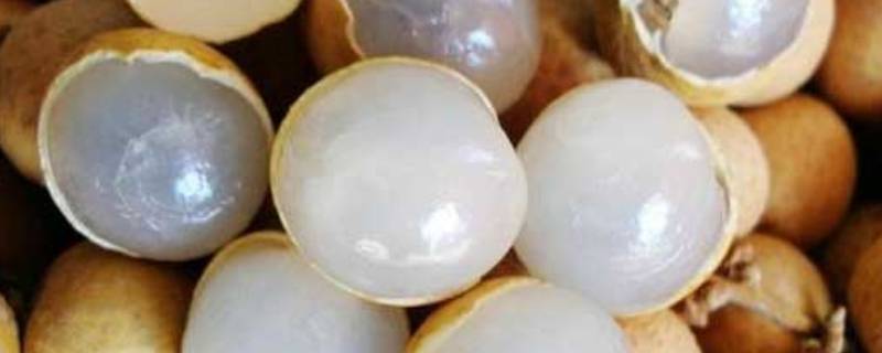 剥好的龙眼肉可直接晒干吗（龙眼肉剥开怎么晒成干）