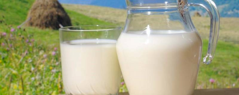 夏天牛奶常温能放多久 夏天纯牛奶打开后能放多久