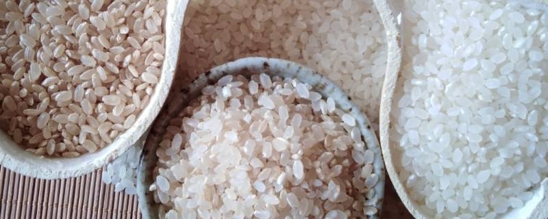 精米是什么米 哪些是精米