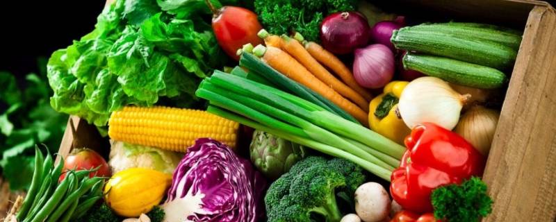 蔬菜品种 蔬菜品种大全图片介绍