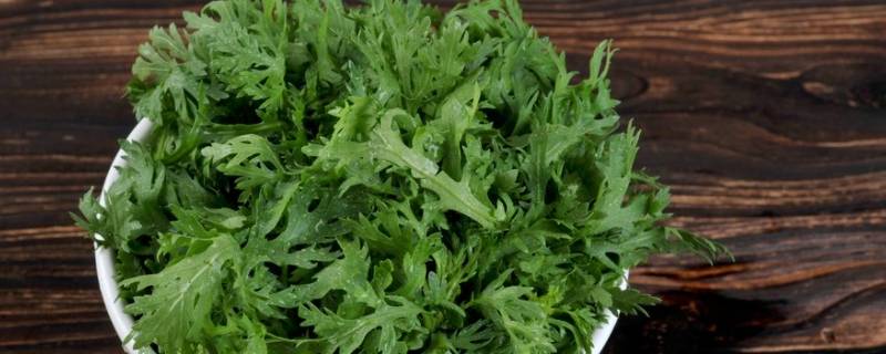 茼蒿菜是凉性还是热性（茼蒿菜是凉性吗）