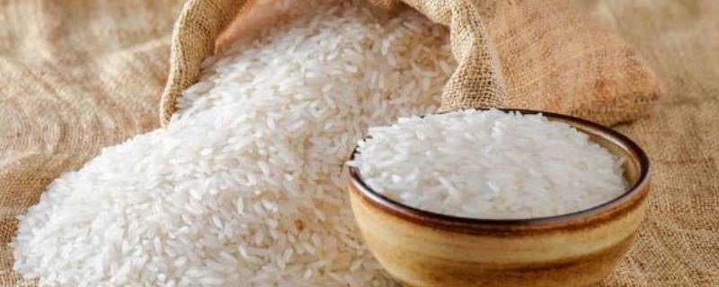 黍米和小米有什么区别（黍子米和小米的区别）