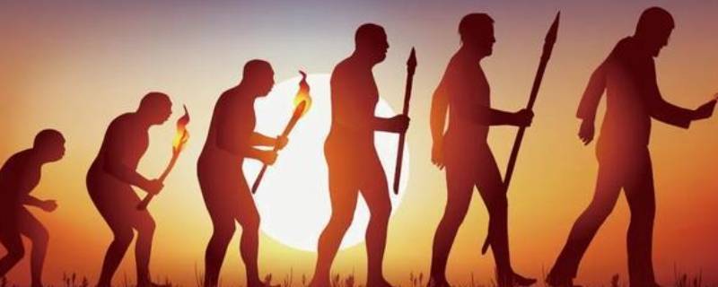 人类祖先的进化历程 人类祖先的进化历程纪录片