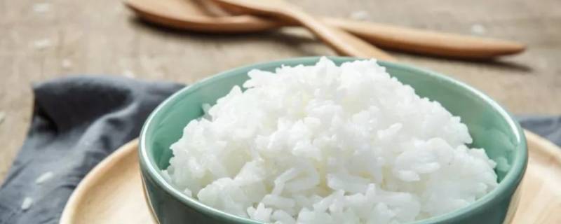 米饭成分 米饭成分含量表
