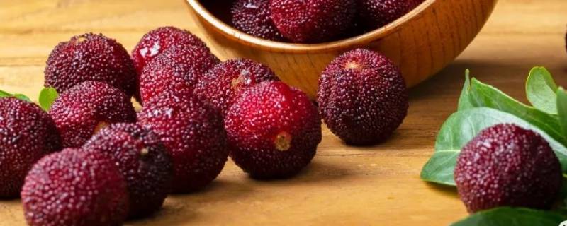 杨梅为什么会有酒精味（杨梅为什么有股酒味）