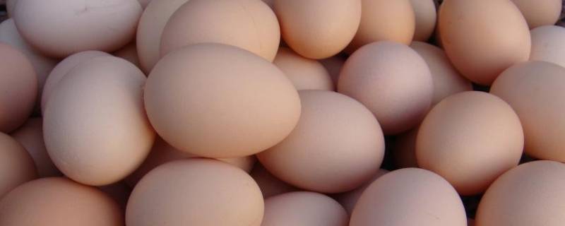 荷包蛋流黄能不能吃 荷包蛋流黄