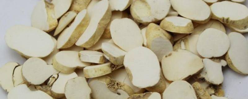 象贝的别名（象贝的别名叫叶么）