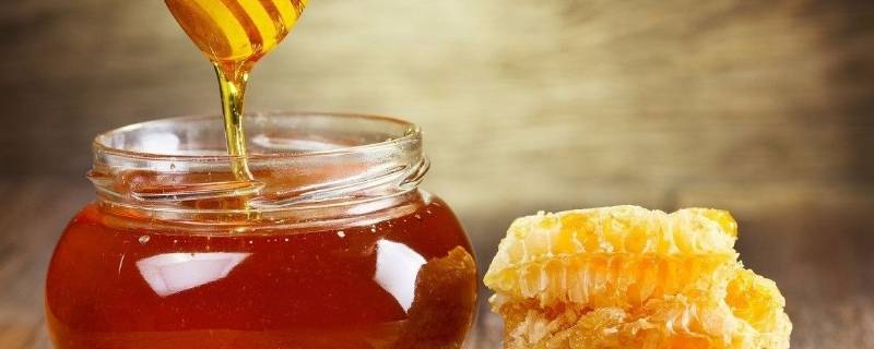 野生蜜蜂几月份可以取蜜 野生蜜蜂什么时候取蜜最多