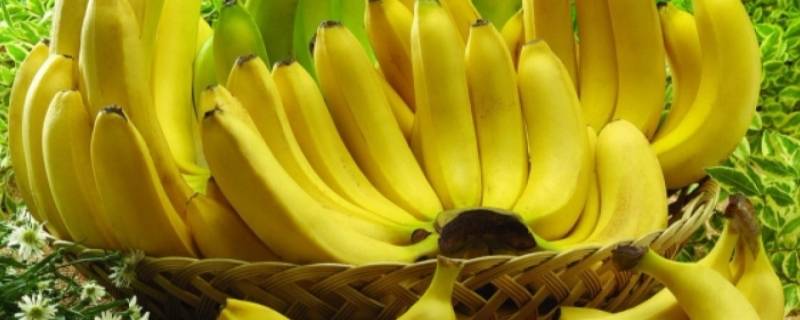 香蕉可以放冰箱冷冻保存吗 香蕉可以放冰箱冷藏保存吗?
