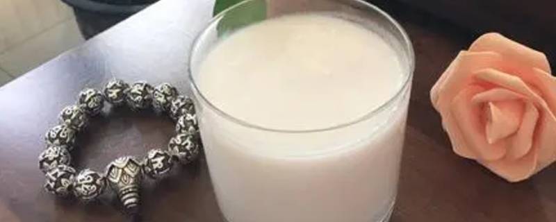 椰乳是什么 奶茶店的生椰乳是什么