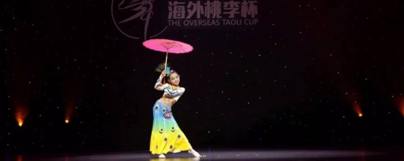 桃李杯和海外桃李杯的区别 桃李杯和海外桃李杯什么区别