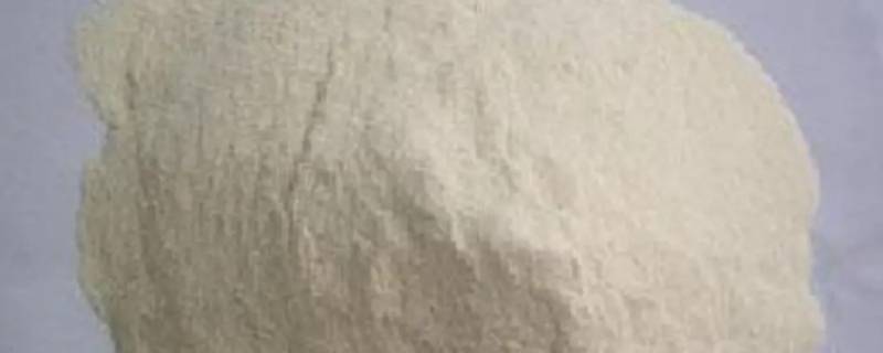 谷朊粉的作用和用途（谷朊粉的营养）