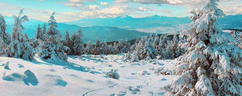 描写冬天的好词好句（描写冬天的好词好句好段摘抄）