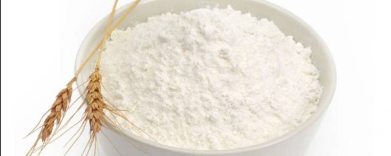 面粉的由来 面粉的由来教案