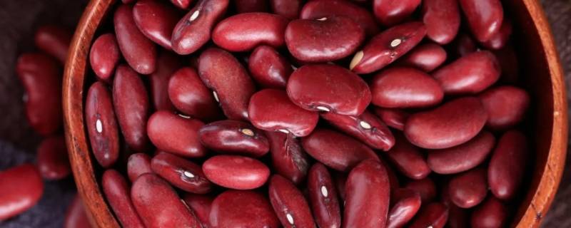 红腰豆和红芸豆怎么区分（大红芸豆和红腰豆是一种豆吗?）