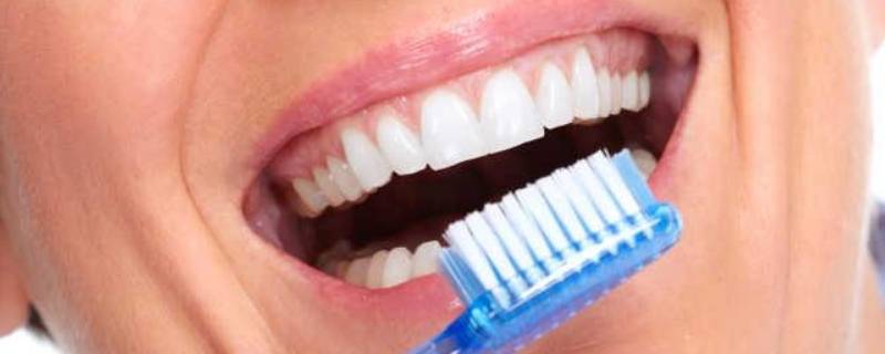 牙齿的用处和怎么保护 还有什么保护牙齿的方法