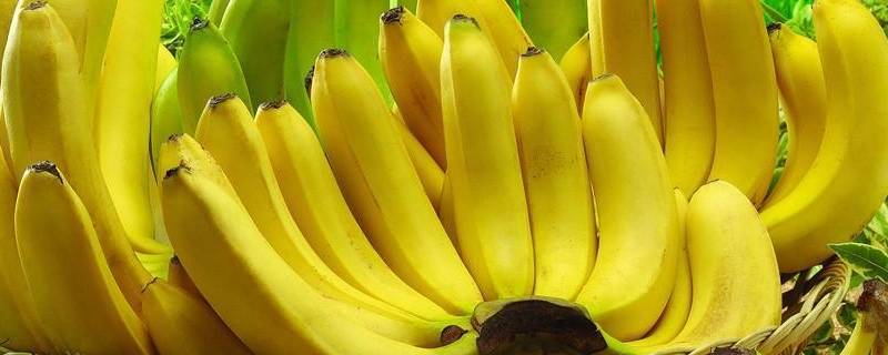 香蕉是感光食物吗 香蕉是反光食物吗