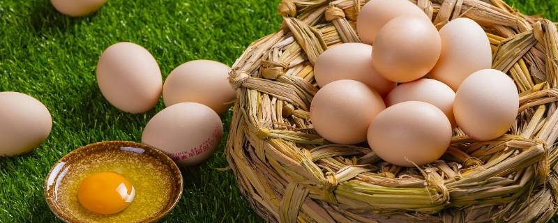 怎么保护鸡蛋 怎么保护鸡蛋从二楼扔下不碎