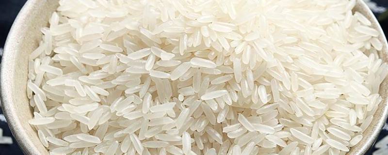 灿米和粳米有什么区别 粳米水稻灿米都有什么区别