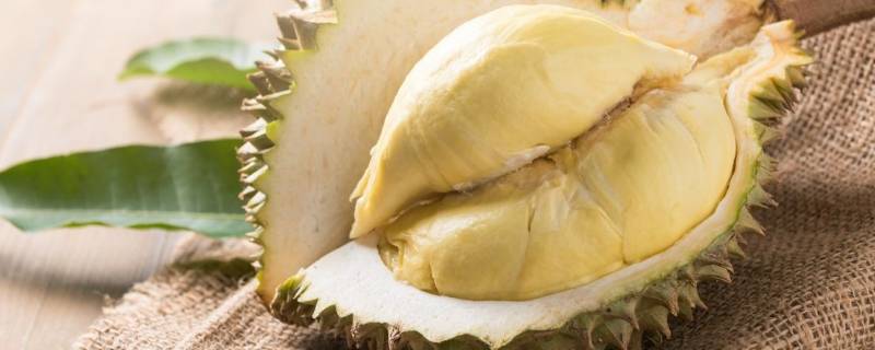 半开的榴莲需要放冰箱吗 榴莲开了一半用不用放冰箱