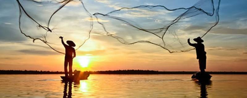 渔网是什么原理捕鱼（渔网的捕鱼原理）