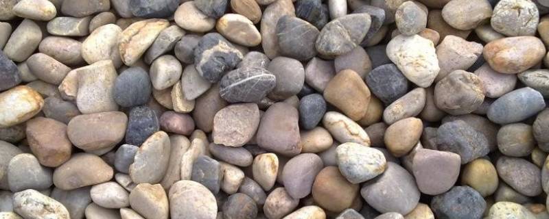 鹅卵石是什么岩石 鹅卵石是什么岩石的一种