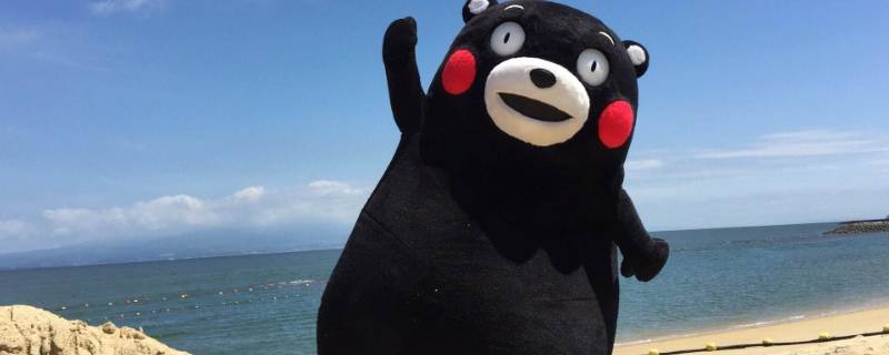 日本熊玩偶叫什么 日本有个什么熊的玩偶特别贵