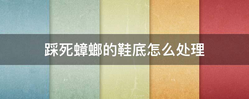 踩死蟑螂的鞋底怎么处理 踩死蟑螂的鞋底没处理会不会有事