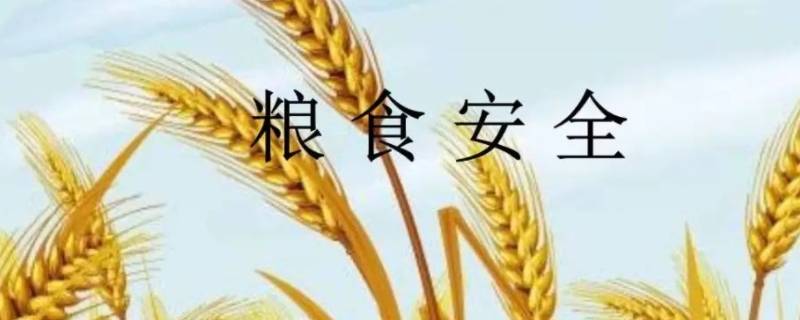 粮食安全有多重要 粮食安全的重大意义