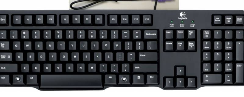 2cm有多长（2cm有多长参照物）