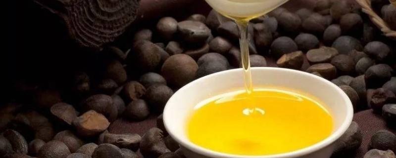 茶籽油怎么食用 茶籽油怎么食用最养生