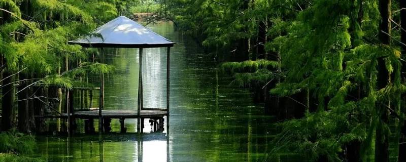 新洲区景点 武汉新洲区景点