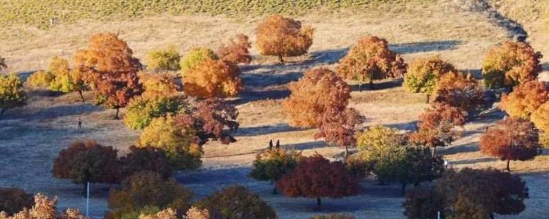 库伦旗景点（库伦旗景点排行榜）