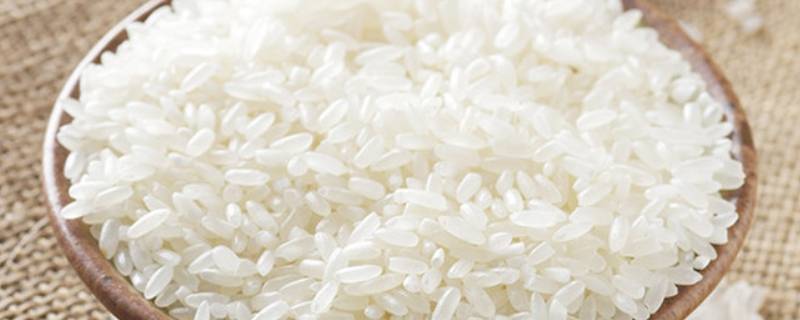 软米是什么米 山西软米是什么米
