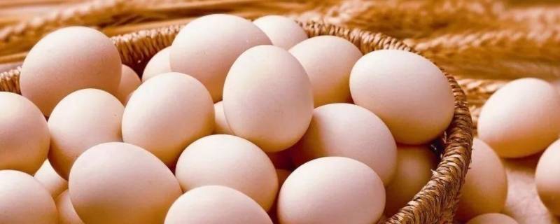 鸡蛋室温下可以放多久 鸡蛋在室温下能放多久