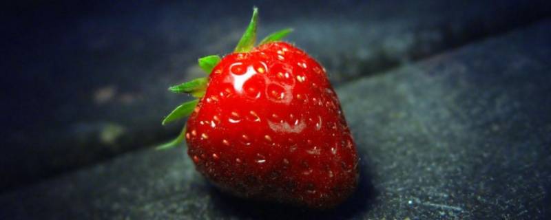 草莓的生长习性 草莓的生长条件是什么
