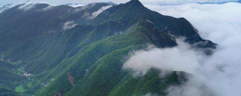 镇坪县景点 镇坪县旅游
