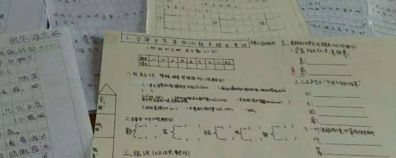 家庭作业的作用和意义（家庭作业的作用和意义800字作文）