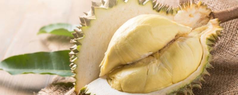 榴莲要裂开才熟吗 榴莲是不是要裂开才熟