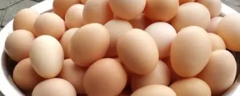 夏天4种方法保存鸡蛋（鸡蛋在夏天怎么存放）