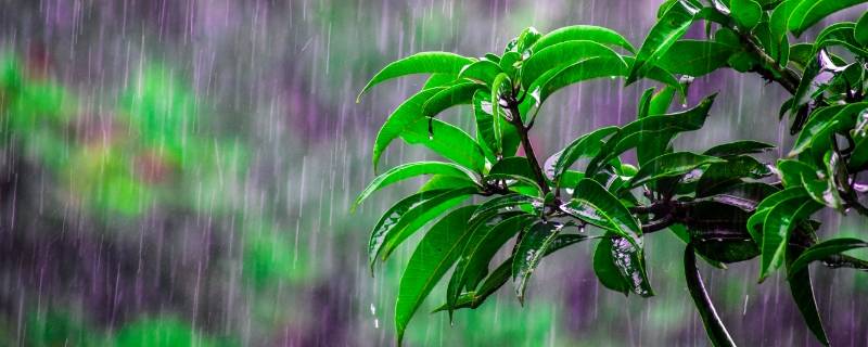 杭州梅雨季节是几月份到几月份结束 杭州梅雨季节是什么时间