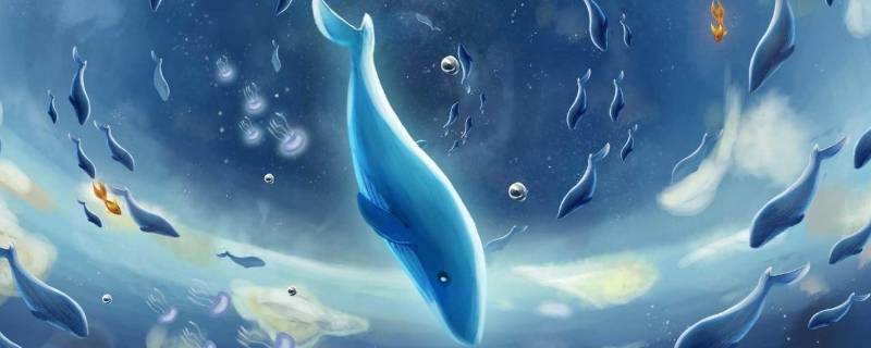 蓝鲸有多长（蓝鲸有多长多重）