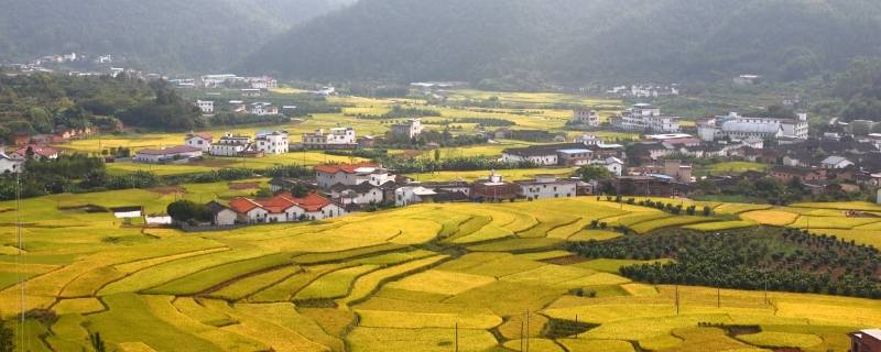 蕉岭县景点 蕉岭县旅游景点